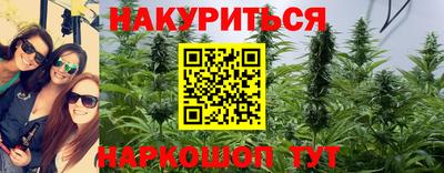 крисы Кунгур