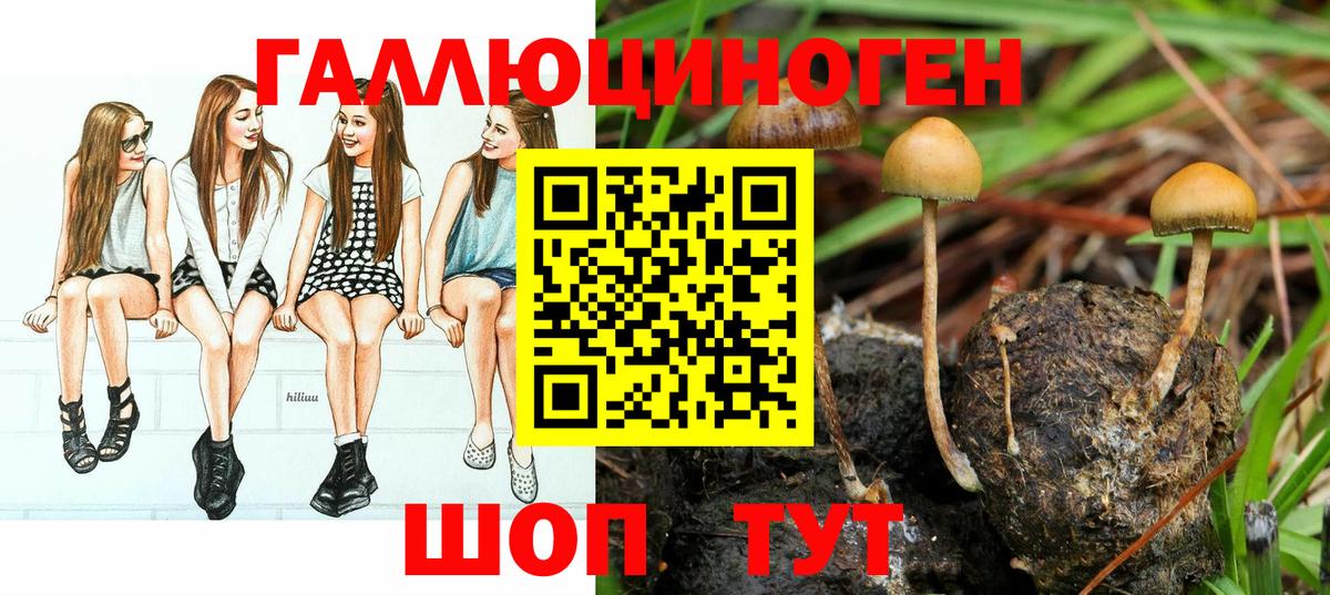 Галлюциногенные грибы Psilocybe Кинель