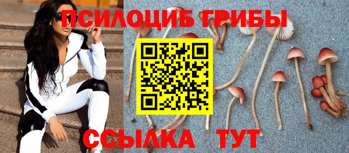 Кинель  Псилоцибиновые грибы мухоморы  Псилоцибиновые грибы Psilocybe  Вход с VPN 